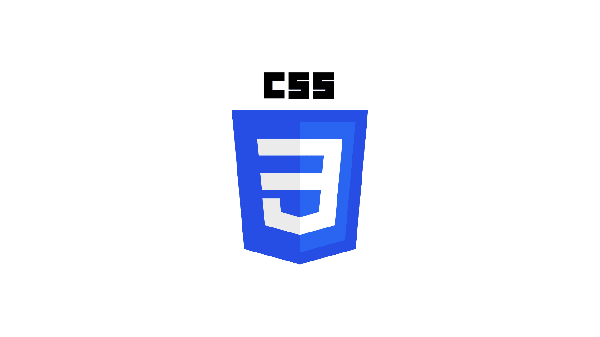 CSS Logo
